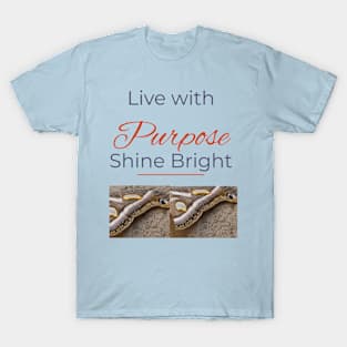 Positivity T-Shirt Live with Purpose T-Shirt